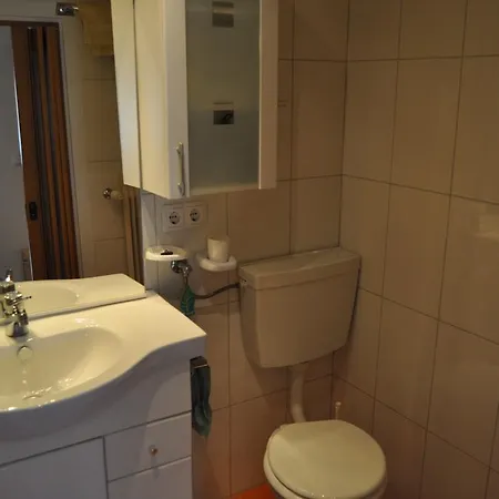 Guest house Haus Plieschnegger *